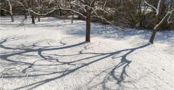 Homes for Sale in Pleasant Valley, MO 64068 | 7019 N Elm Street