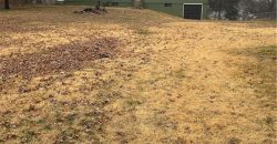 Homes for Sale in Kansas City, MO 64118 | 301 NW 81st Street