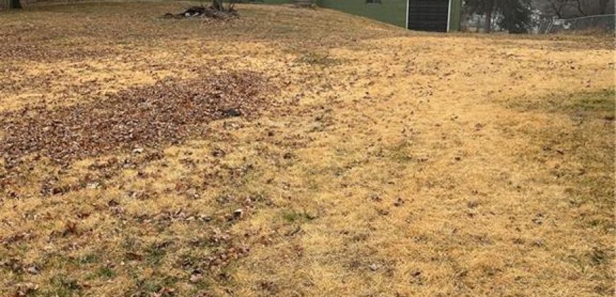 Homes for Sale in Kansas City, MO 64118 | 301 NW 81st Street