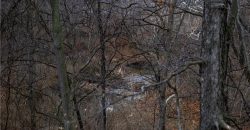 Homes for Sale in Kansas City, MO 64118 | 7216 N Hickory Street