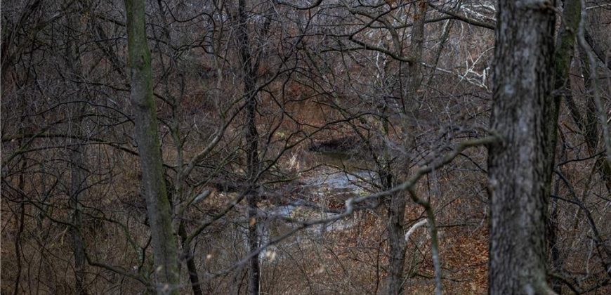 Homes for Sale in Kansas City, MO 64118 | 7216 N Hickory Street