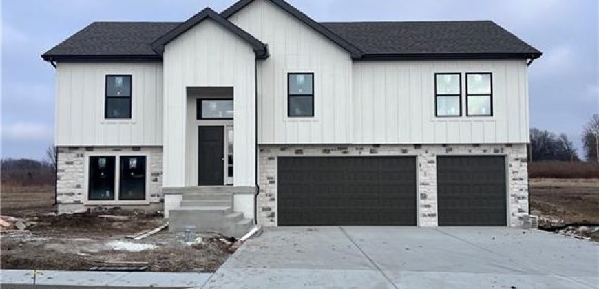 Homes for Sale in Lawson, MO 64062 | 465  Green Drive